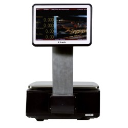 T Scale PA 10b μαύρο - 30kg